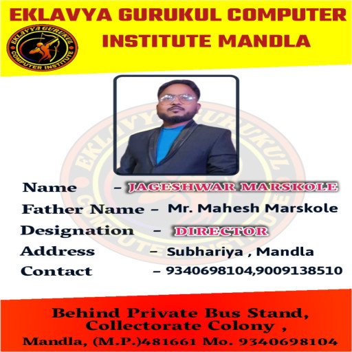 Director Id Card